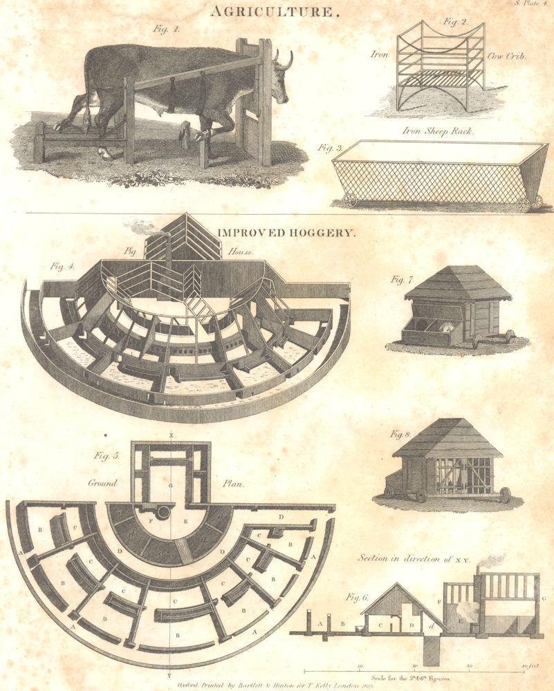 AGRICULTURE. Improved Hoggery. Iron cow crib; sheep rack 1830 old print